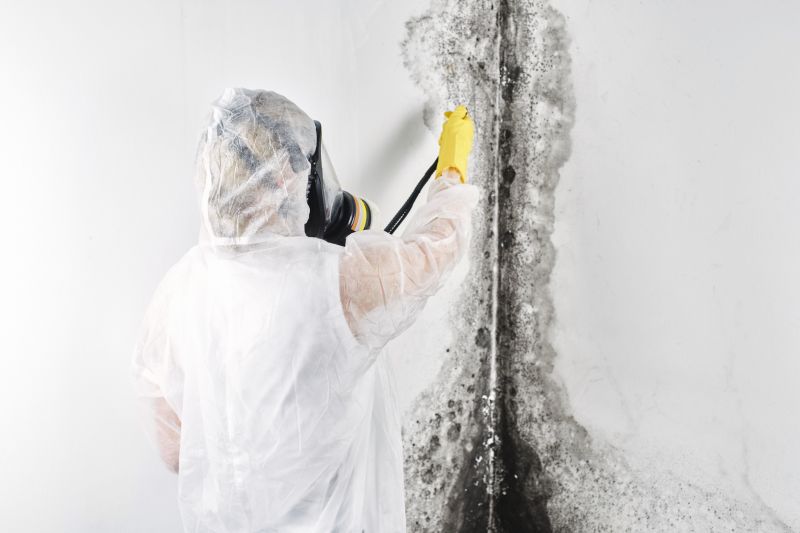 Air Duct Mold Removal in Jupiter, FL