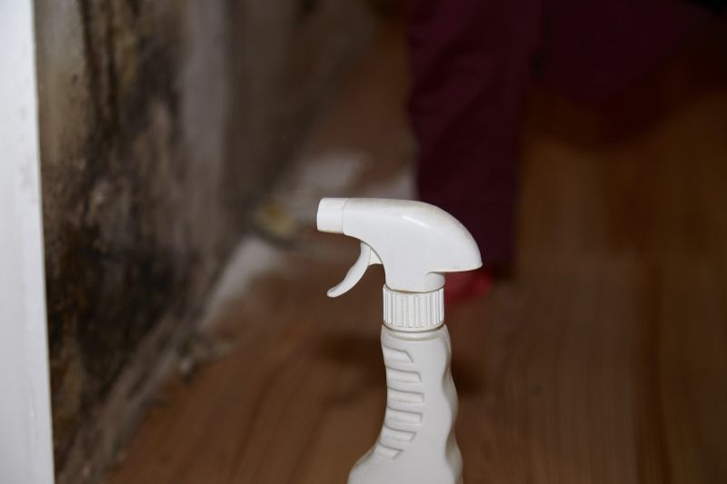 Air Duct Mold Removal in West Palm Beach, FL