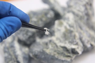 Asbestos Service in Sussex County, NJ
