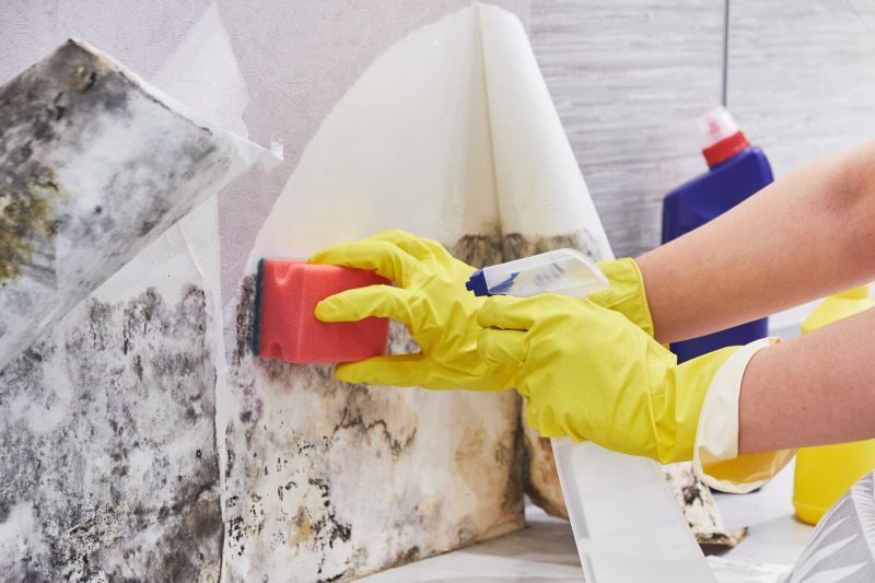 Attic Mold Removal in Dallas, TX