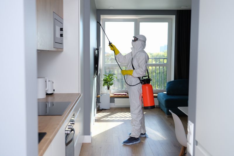 Basement Mold Removal in Bergen County, NJ