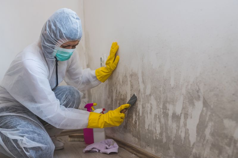 Black Mold Remediation in Broward County, FL