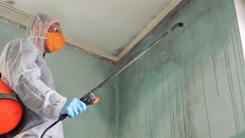 Crawl Space Mold Removal in Essex County, NJ