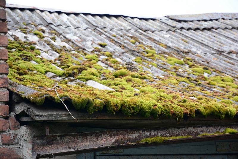 Garage Asbestos Removal in Somerset County, NJ