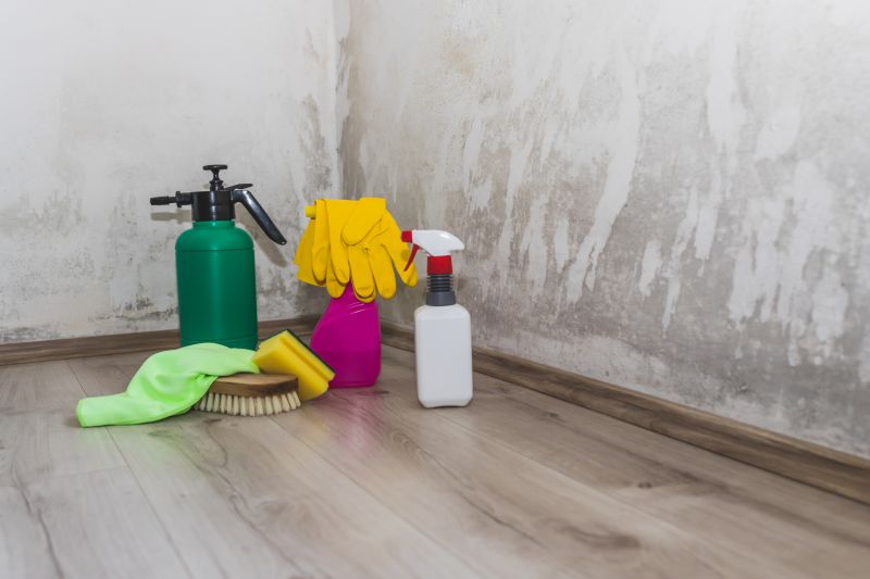 Mold Abatement Service in Broward County, FL