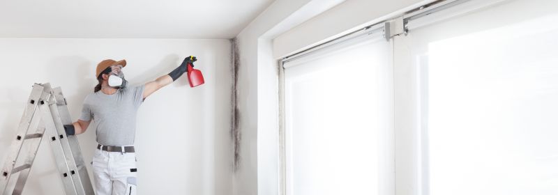 Mold Mitigation Service in West Palm Beach, FL