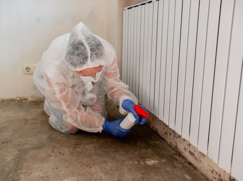 Mold Removal in Dallas, TX