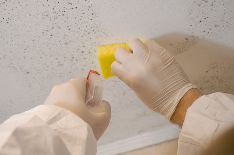White Mold Mitigation in Essex County, NJ