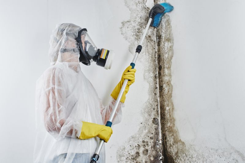 Air Duct Mold Removal in West Palm Beach, FL