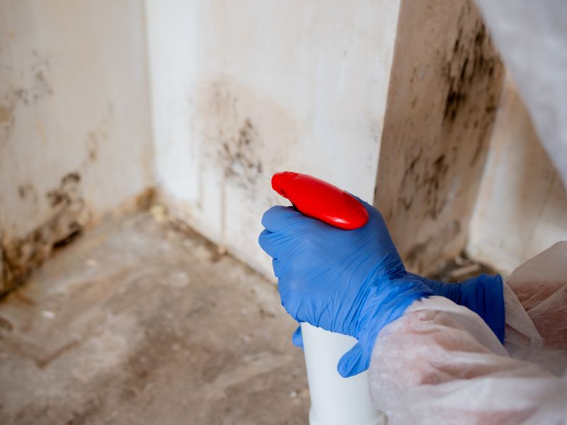 Attic Mold Remediation in Boca Raton, FL