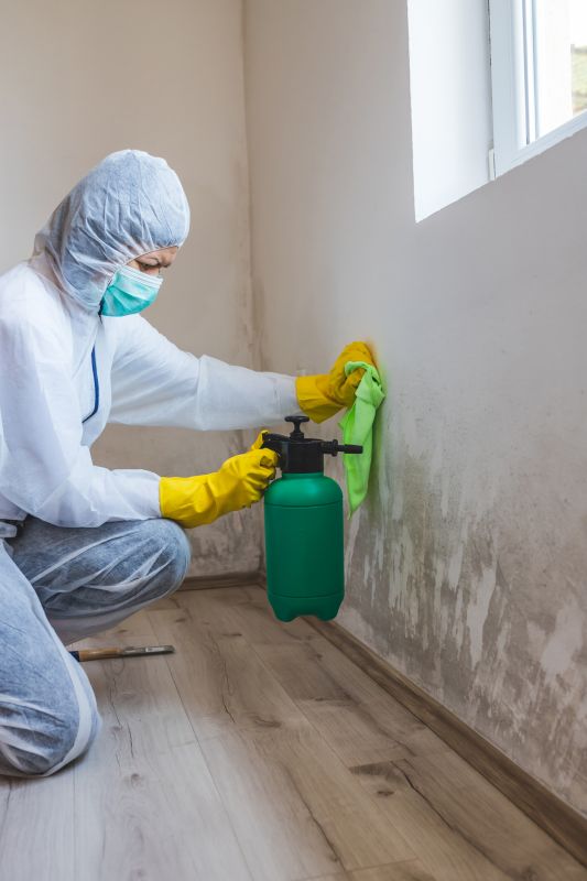 Basement Mold Removal in West Palm Beach, FL