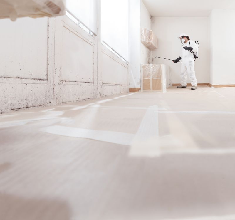 Mold Abatement Service in Fort Worth, TX
